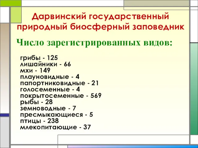 Дарвинский государственный природный биосферный заповедник Число зарегистрированных видов: грибы -