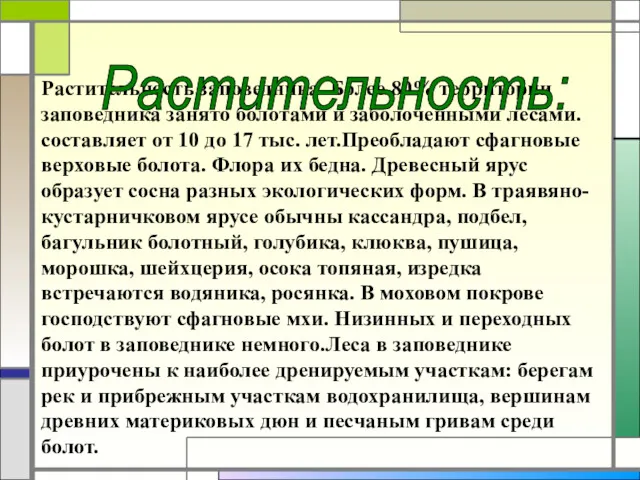 Растительность заповедника. Более 80% территории заповедника занято болотами и заболоченными