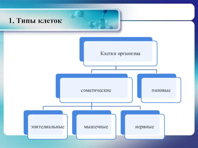 1. Типы клеток