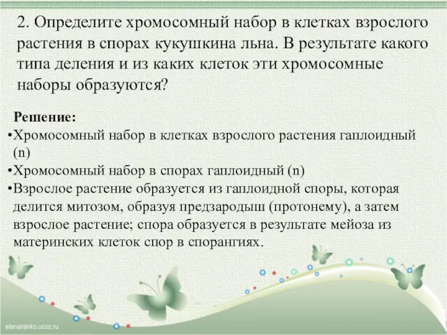 2. Определите хромосомный набор в клетках взрослого растения в спорах