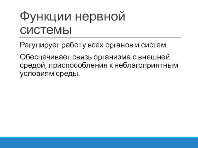 Функции нервной системы Регулирует работу всех органов и систем. Обеспечивает