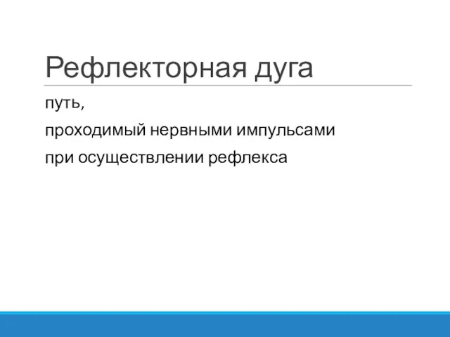 Рефлекторная дуга путь, проходимый нервными импульсами при осуществлении рефлекса