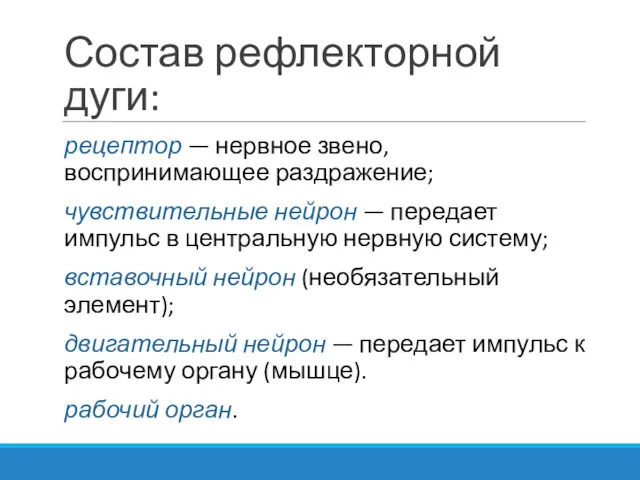 Состав рефлекторной дуги: рецептор — нервное звено, воспринимающее раздражение; чувствительные