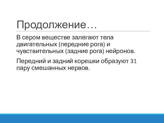 Продолжение… В сером веществе залегают тела двигательных (передние рога) и