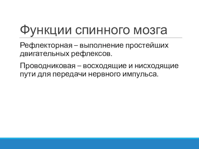 Функции спинного мозга Рефлекторная – выполнение простейших двигательных рефлексов. Проводниковая