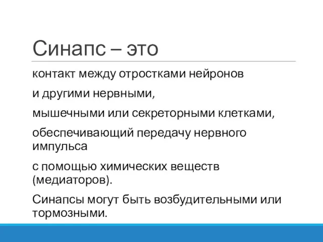 Синапс – это контакт между отростками нейронов и другими нервными,