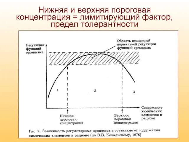 Нижняя и верхняя пороговая концентрация = лимитирующий фактор, предел толерантности