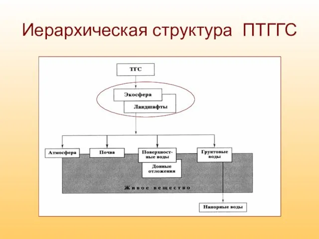 Иерархическая структура ПТГГС