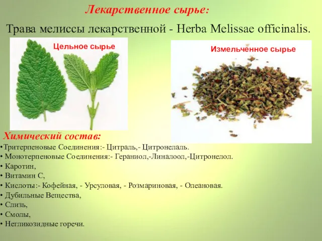 Трава мелиссы лекарственной - Herba Melissae officinalis. Лекарственное сырье: Химический