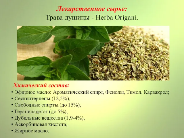 Лекарственное сырье: Трава душицы - Herba Origani. Химический состав: Эфирное