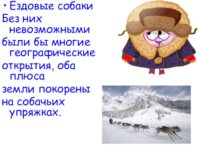 Ездовые собаки Без них невозможными были бы многие географические открытия,