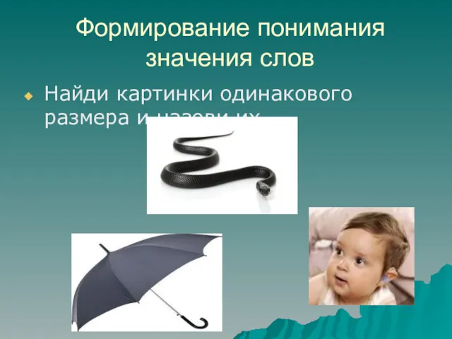 Формирование понимания значения слов Найди картинки одинакового размера и назови их