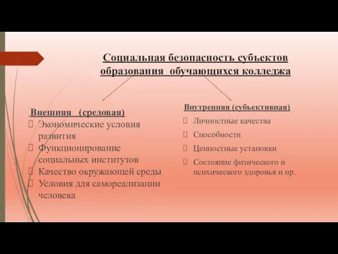 Социальная безопасность субъектов образования обучающихся колледжа Внешняя (средовая) Экономические условия