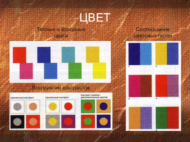 Соотношение цветовых пятен Теплые и холодные цвета Восприятие контрастов ЦВЕТ