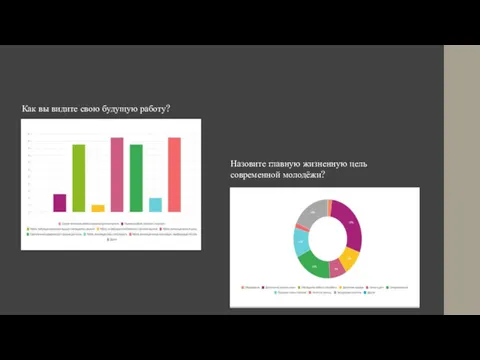 Назовите главную жизненную цель современной молодёжи? Как вы видите свою будущую работу?