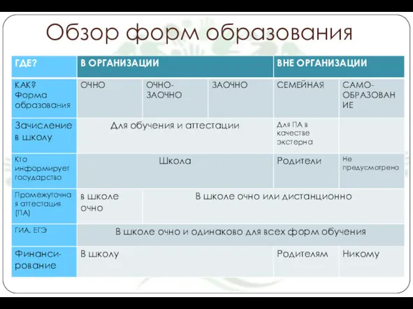 Обзор форм образования