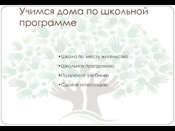 Учимся дома по школьной программе Школа по месту жительства Школьная программа Получаете учебники Сдаете аттестацию