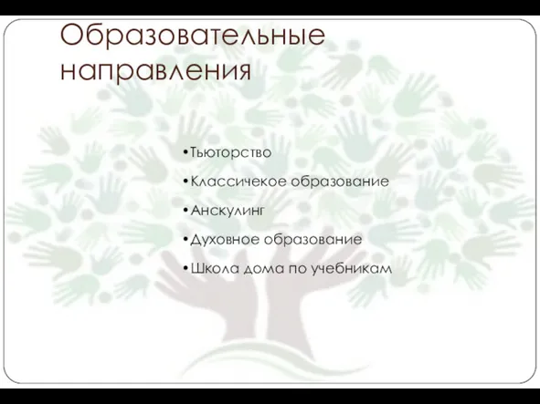 Образовательные направления Тьюторство Классичекое образование Анскулинг Духовное образование Школа дома по учебникам