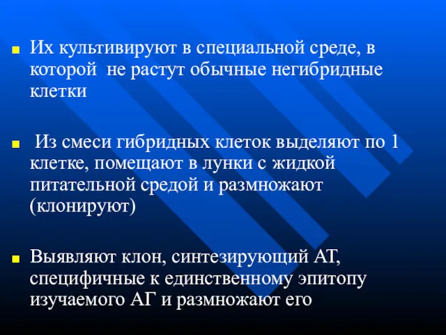 Их культивируют в специальной среде, в которой не растут обычные