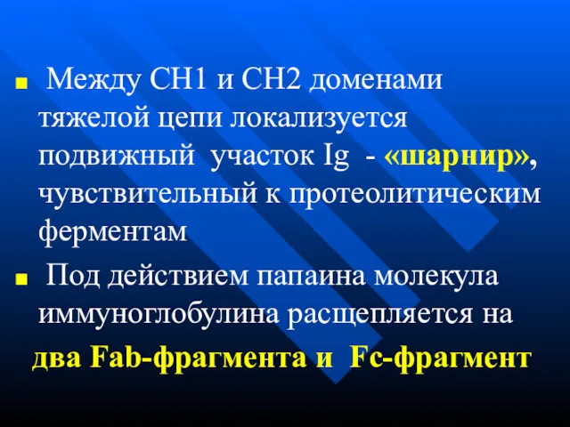 Между СН1 и СН2 доменами тяжелой цепи локализуется подвижный участок