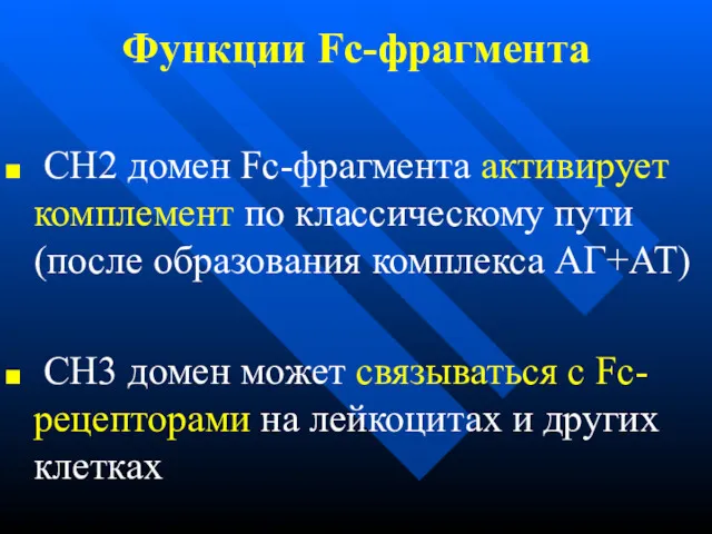 Функции Fc-фрагмента CН2 домен Fc-фрагмента активирует комплемент по классическому пути