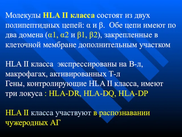 Молекулы HLA II класса состоят из двух полипептидных цепей: α