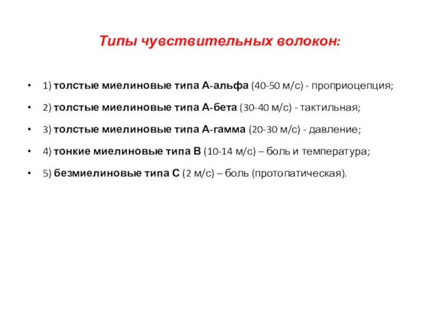 Типы чувствительных волокон: 1) толстые миелиновые типа А-альфа (40-50 м/с)