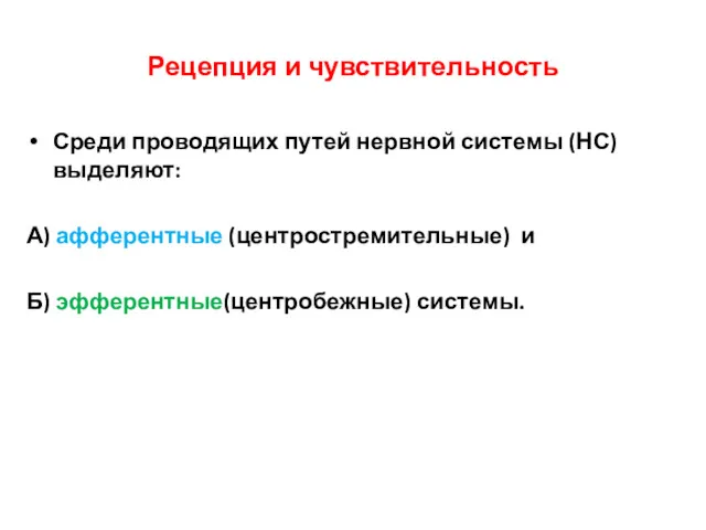 Рецепция и чувствительность Среди проводящих путей нервной системы (НС) выделяют: