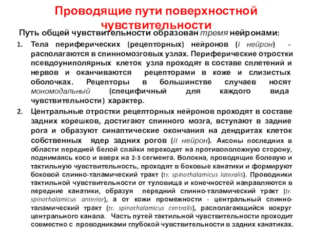 Проводящие пути поверхностной чувствительности Путь общей чувствительности образован тремя нейронами: