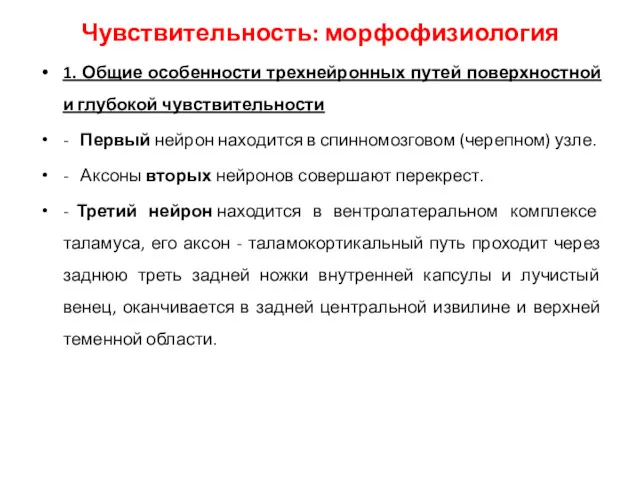 Чувствительность: морфофизиология 1. Общие особенности трехнейронных путей поверхностной и глубокой