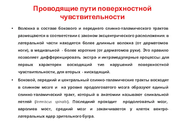 Волокна в составе бокового и переднего спинно-таламического трактов размещаются в