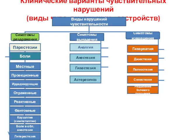 Клинические варианты чувствительных нарушений (виды чувствительных расстройств) Виды нарушений чувствительности