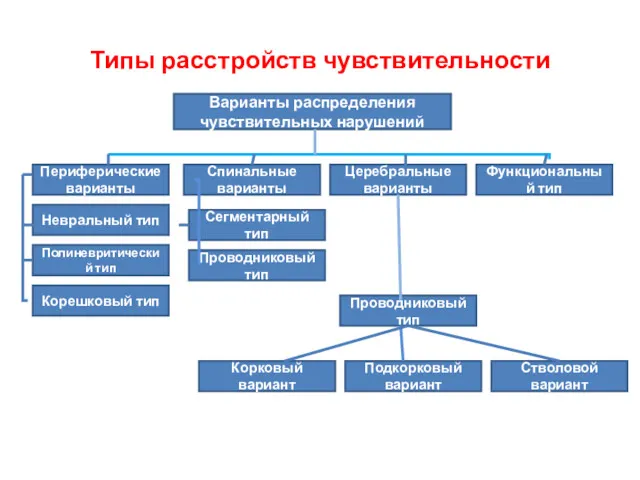 Типы расстройств чувствительности Варианты распределения чувствительных нарушений Периферические варианты Спинальные