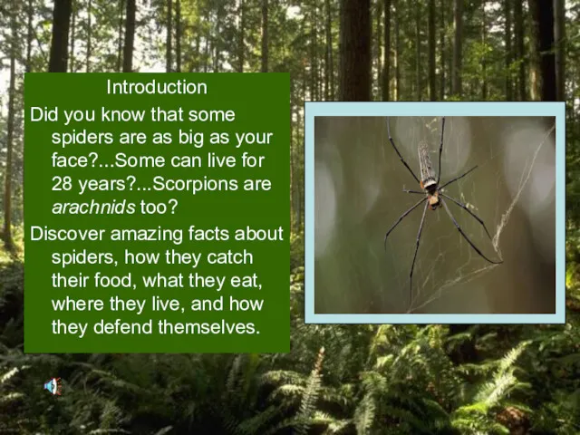 Introduction Did you know that some spiders are as big as your face?...Some