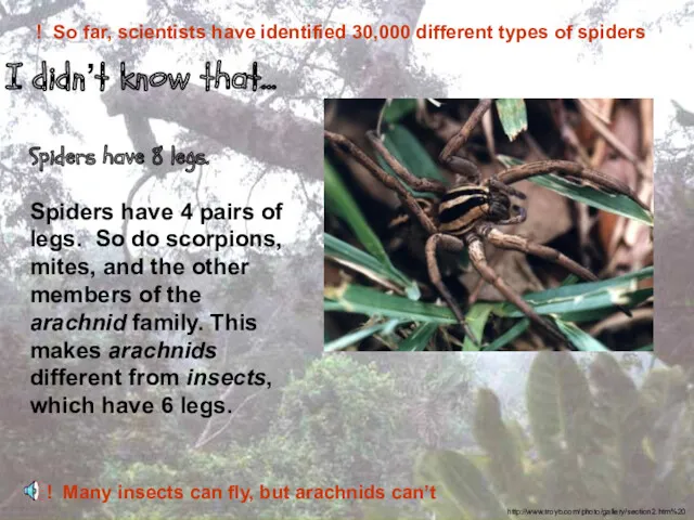 Spiders have 8 legs. Spiders have 4 pairs of legs. So do scorpions,