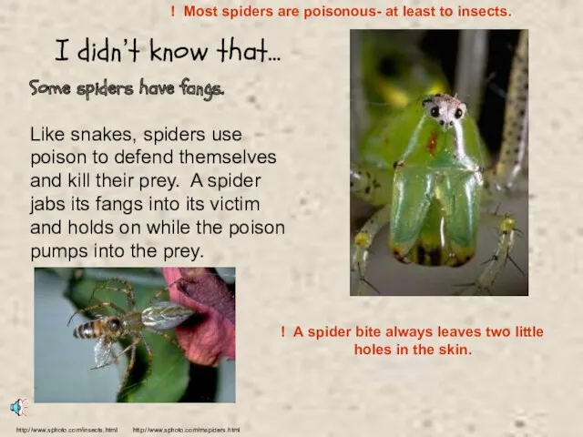 Some spiders have fangs. Like snakes, spiders use poison to defend themselves and