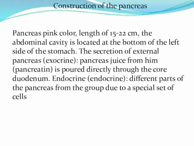 Pancreas pink color, length of 15-22 cm, the abdominal cavity