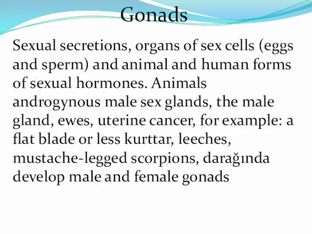 Gonads Sexual secretions, organs of sex cells (eggs and sperm)