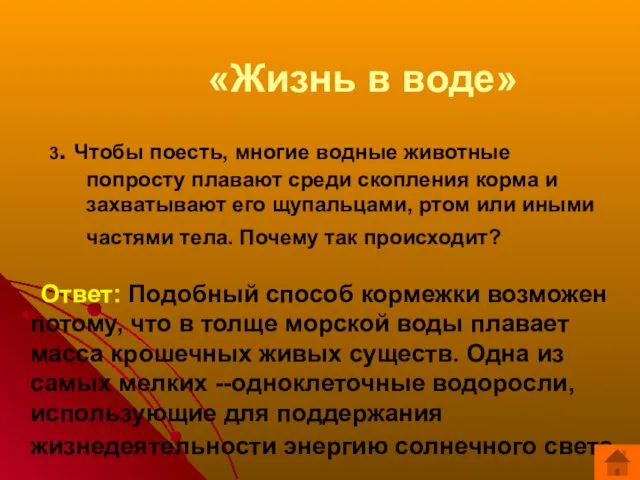 «Жизнь в воде» 3. Чтобы поесть, многие водные животные попросту