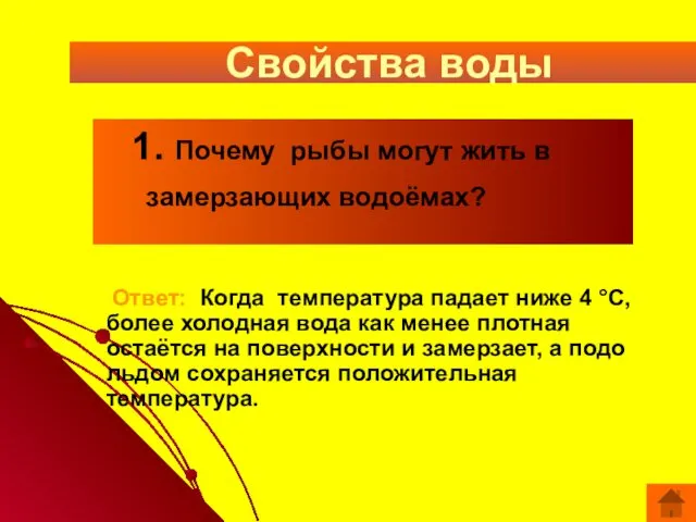 Свойства воды 1. Почему рыбы могут жить в замерзающих водоёмах?