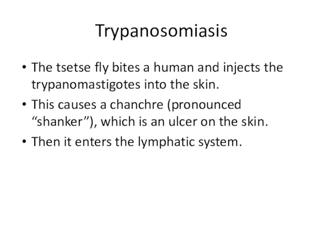 Trypanosomiasis The tsetse fly bites a human and injects the