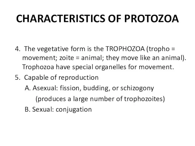 CHARACTERISTICS OF PROTOZOA 4. The vegetative form is the TROPHOZOA
