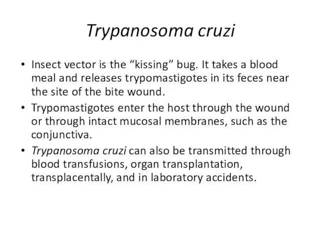 Trypanosoma cruzi Insect vector is the “kissing” bug. It takes