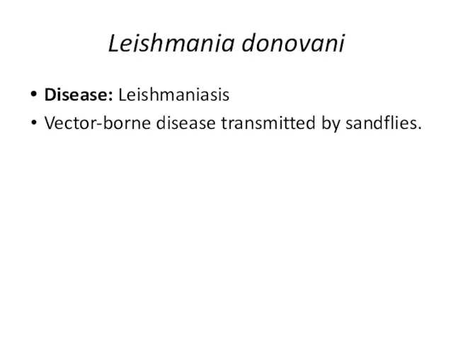 Leishmania donovani Disease: Leishmaniasis Vector-borne disease transmitted by sandflies.