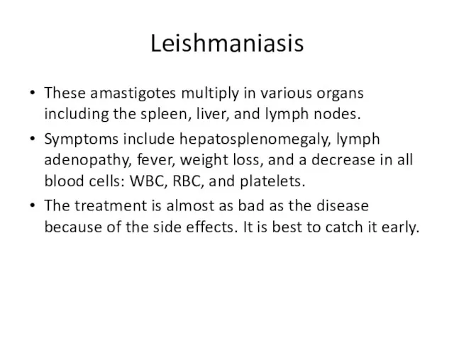 Leishmaniasis These amastigotes multiply in various organs including the spleen,