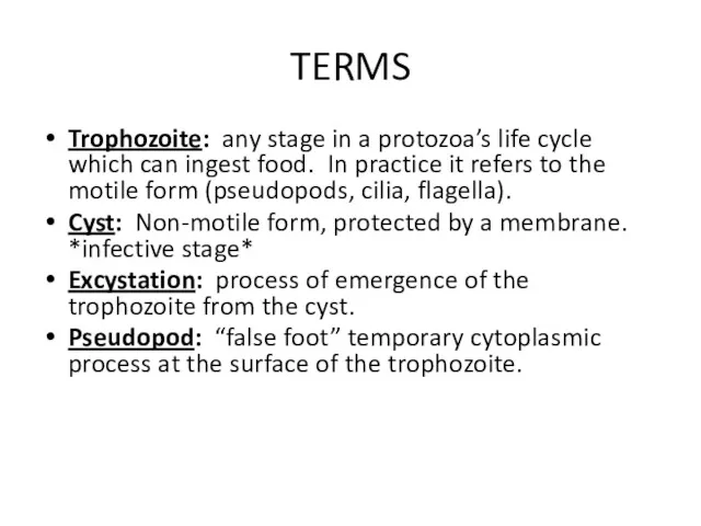 TERMS Trophozoite: any stage in a protozoa’s life cycle which