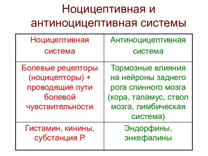 Ноцицептивная и антиноцицептивная системы