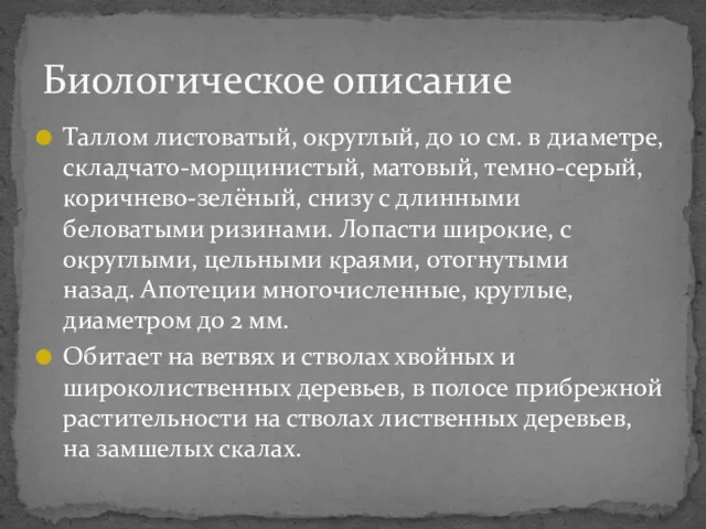 Таллом листоватый, округлый, до 10 см. в диаметре, складчато-морщинистый, матовый,