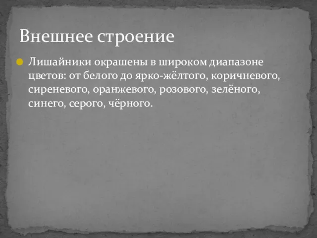 Лишайники окрашены в широком диапазоне цветов: от белого до ярко-жёлтого,