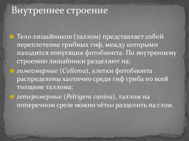 Тело лишайников (таллом) представляет собой переплетение грибных гиф, между которыми